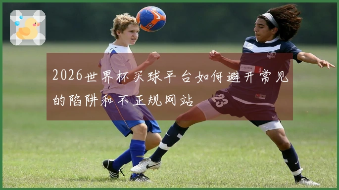 2026世界杯买球平台如何避开常见的陷阱和不正规网站