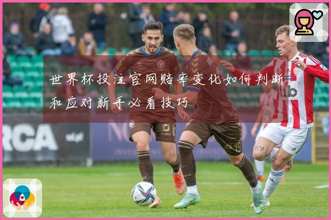 世界杯投注官网赔率变化如何判断和应对新手必看技巧