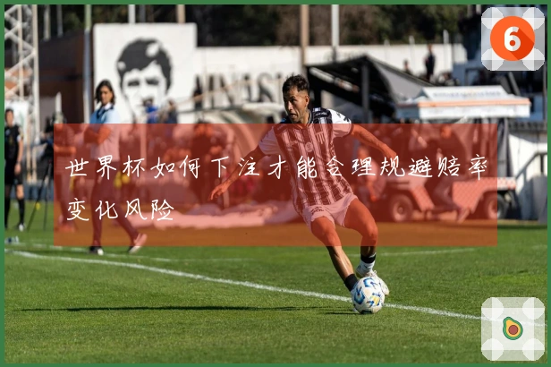 世界杯如何下注才能合理规避赔率变化风险