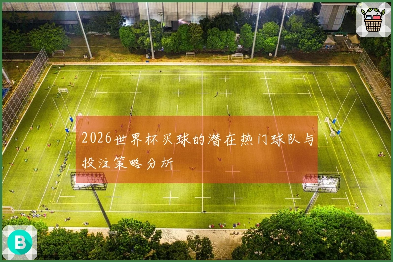 2026世界杯买球的潜在热门球队与投注策略分析