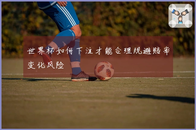 世界杯如何下注才能合理规避赔率变化风险